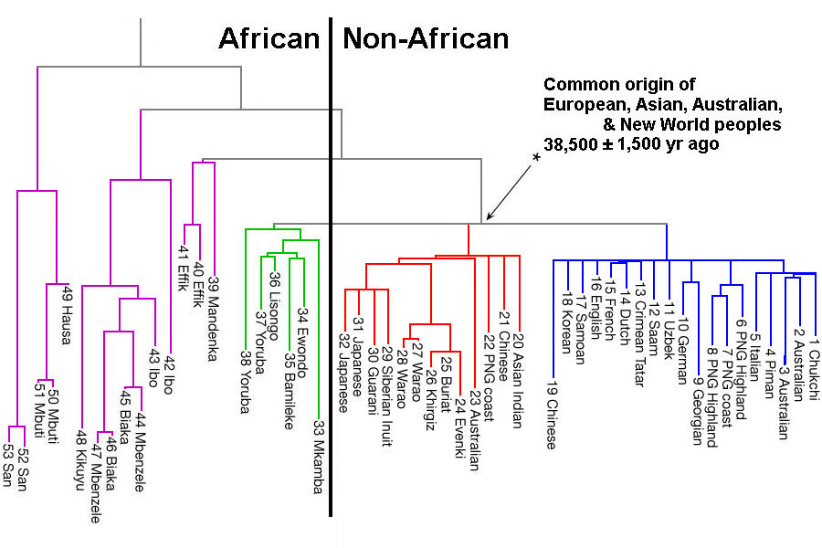 Ingman et al. 2000