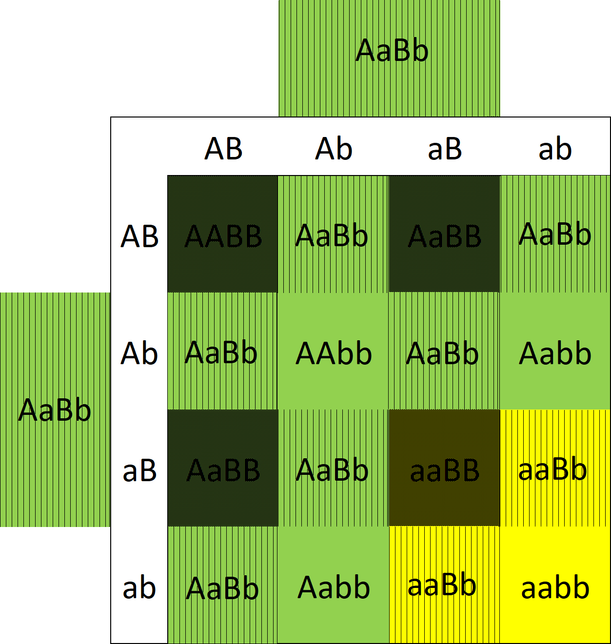 Two locus, dominant and
        semi-dominant