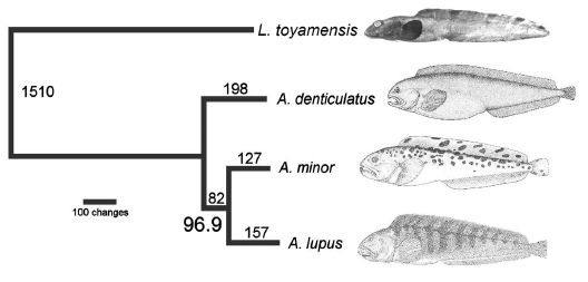 Johnstone et
al. 2007 Fig 3