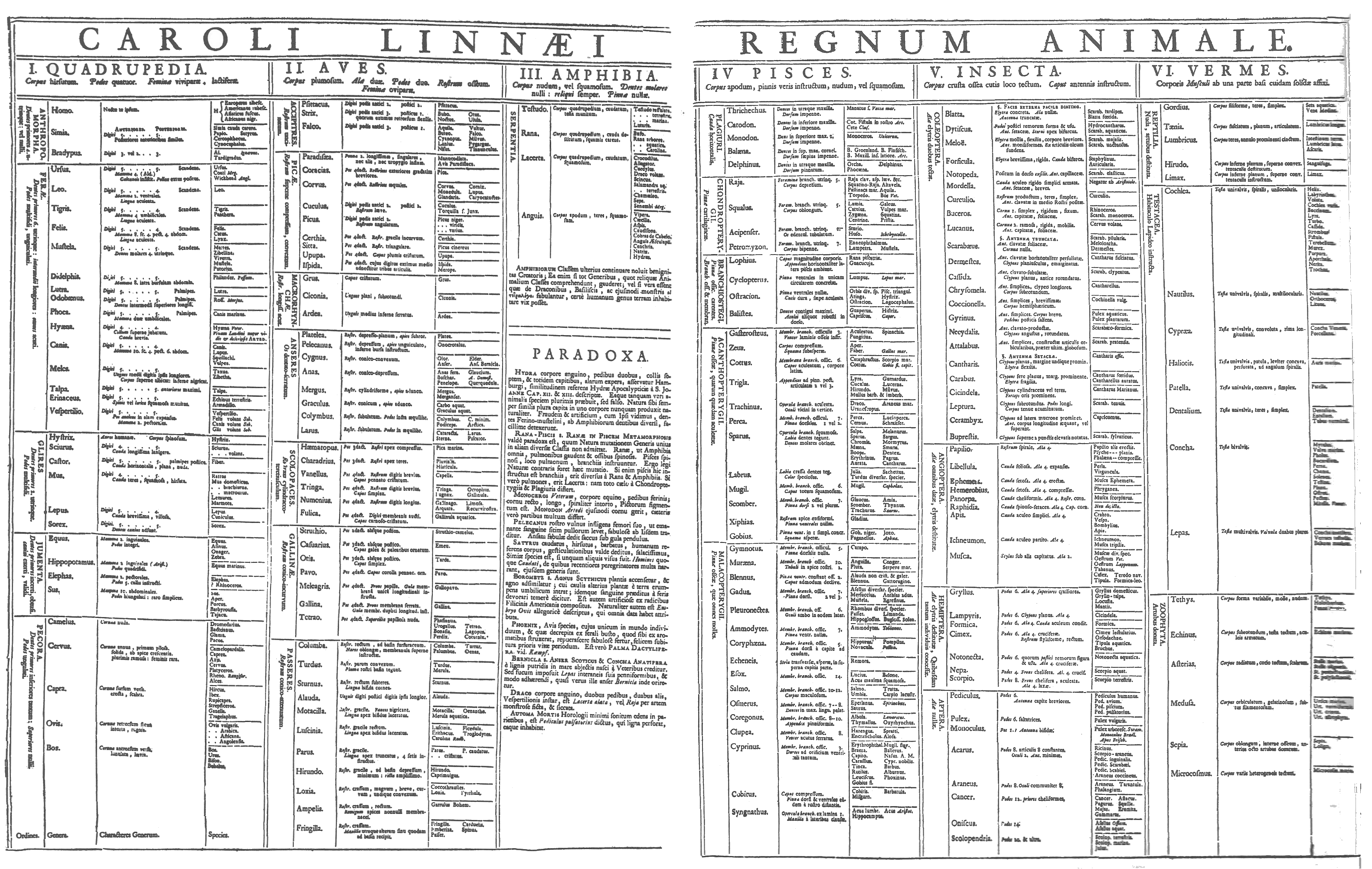 Systema Naturae, 1735