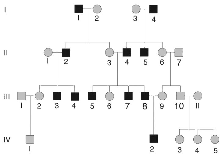 X Linked Dominant Pedigree Chart