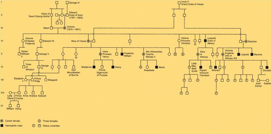 Queen Victoria Hemophilia Chart