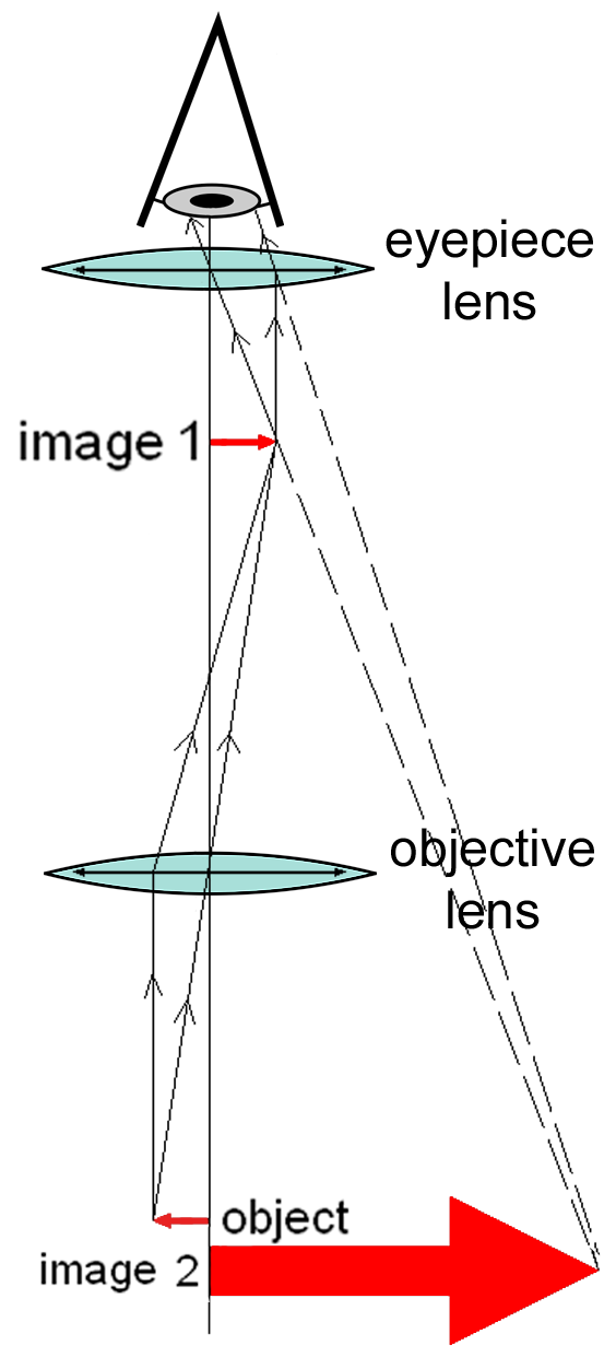 Compound microscope