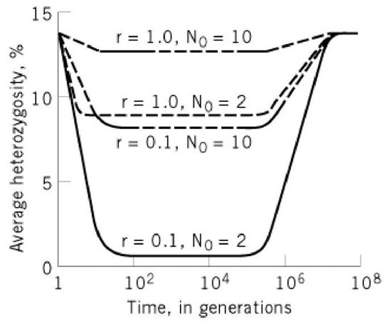 Charkraborty et al 1975