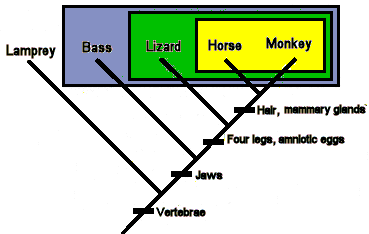 Nested groups