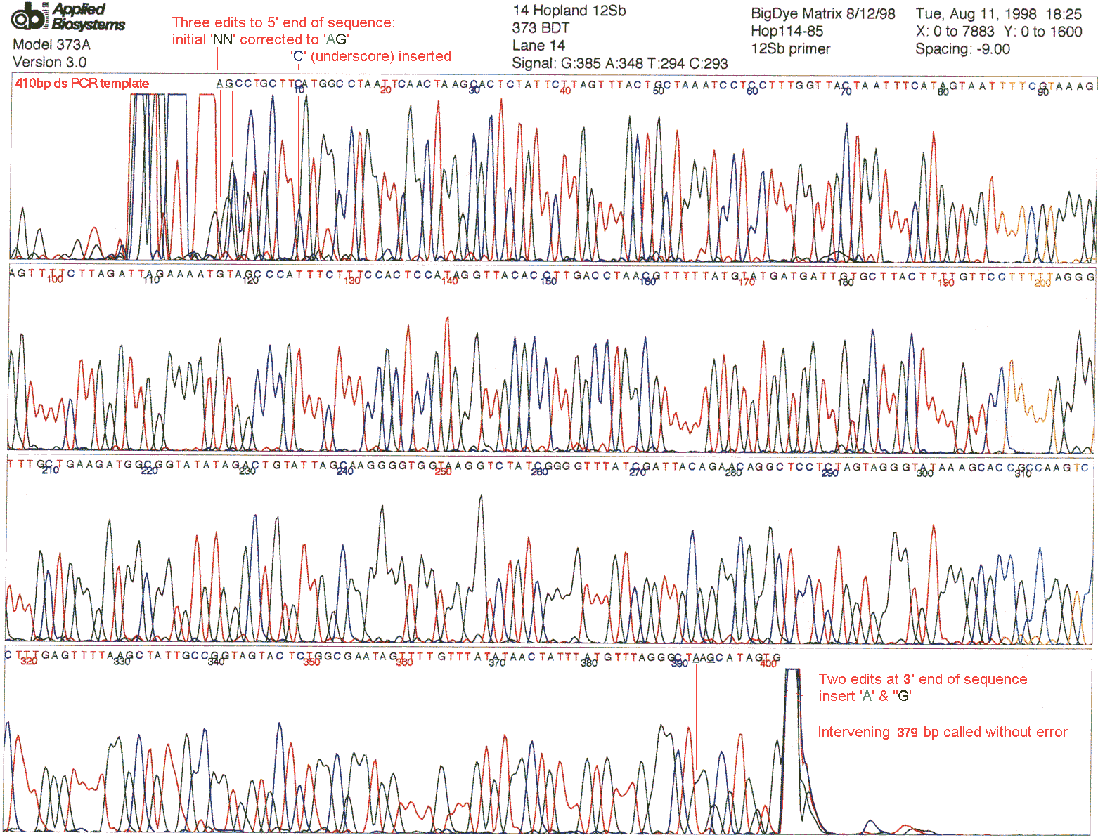 ABI chromatogram: 12S mtDNA sequence of black-tailed deer