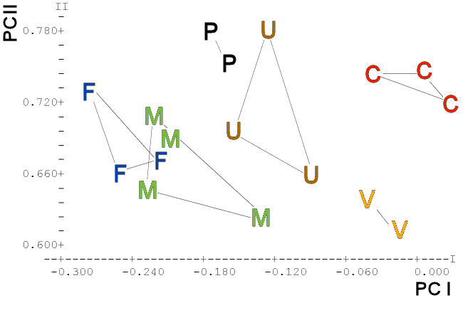 PCA of Primate
        Skulls
