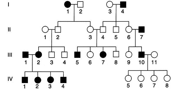 Autosomal Recessive Pedigree Chart