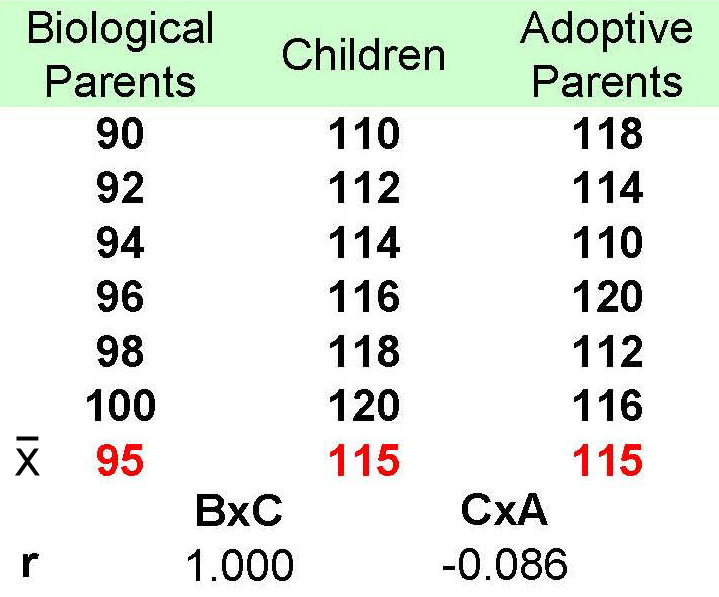 Parent Child
          Adoptive correlation