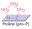 Proline.gif