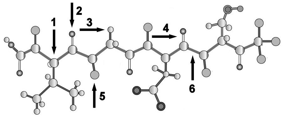 Protein backbone