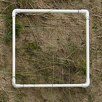 Quadrat