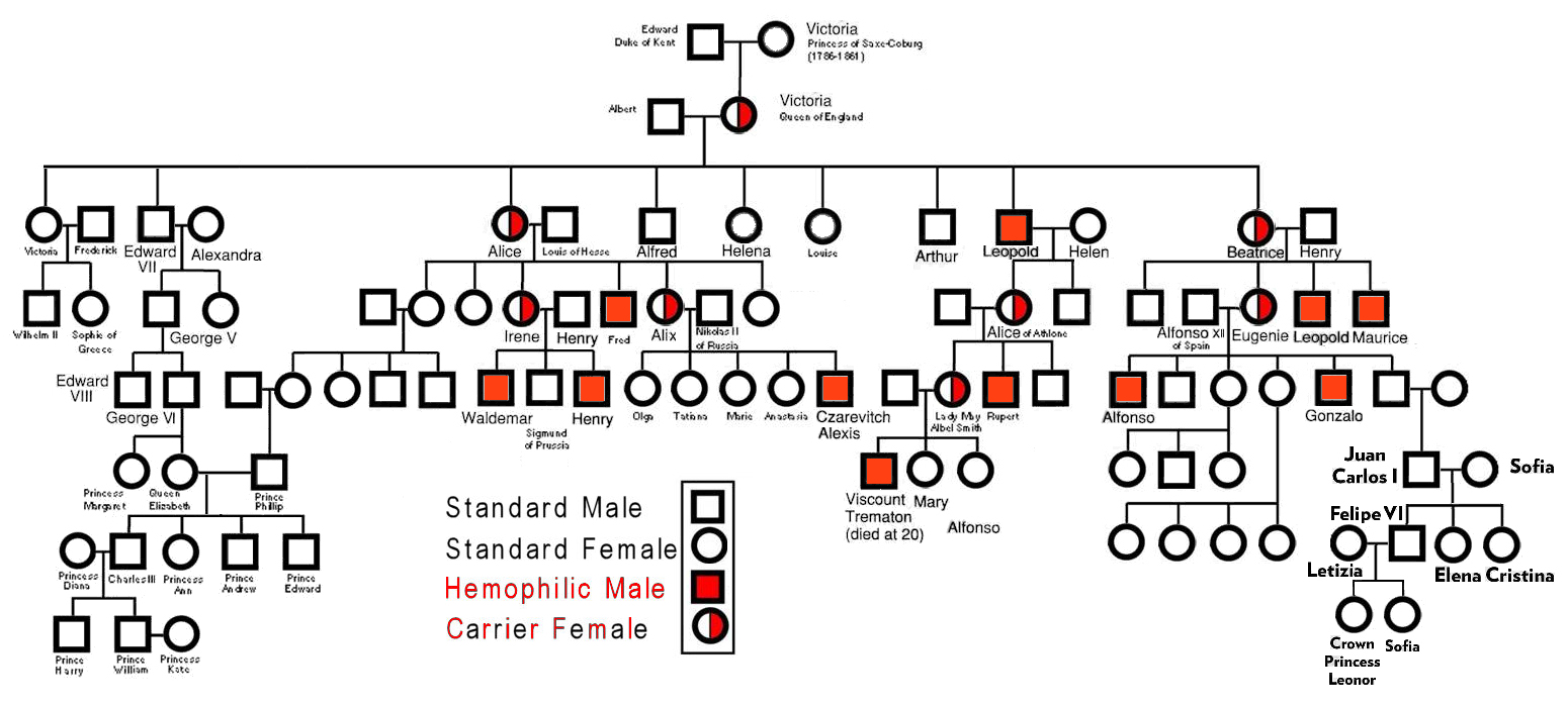 Queen Victoria Hemophilia pedigree