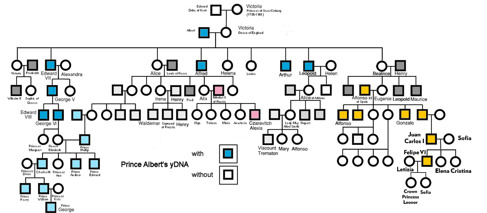 Prince Albert yDNA