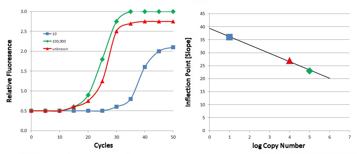 Quantitative Real Time PCR