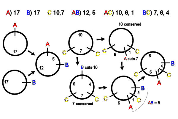 Double Digestion Chart