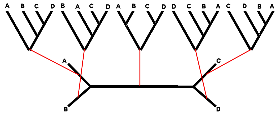 Root placement