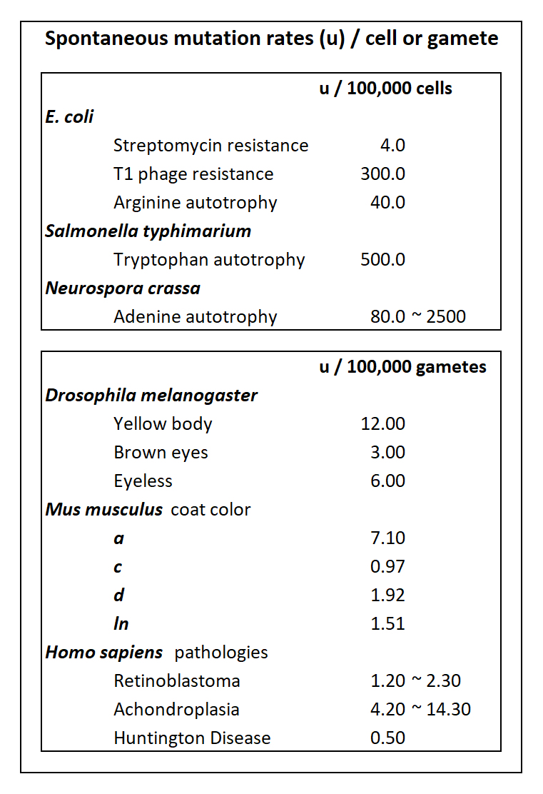 Spontaneous mutation rates