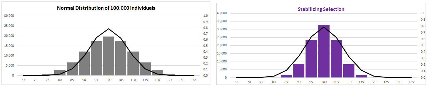Stabilizing selection