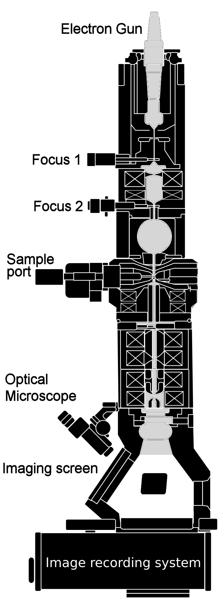 TEM schematic