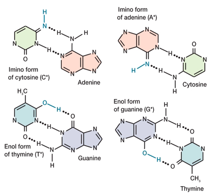 Tautomeric bonding