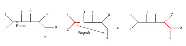 Tree pruning and reconnection
