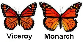 Viceroy vs
        Monarch