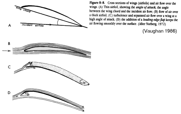 http://www.mun.ca/biology/scarr/Wings_as_airfoils.gif