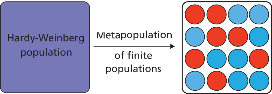 c03fig008smc2.jpg