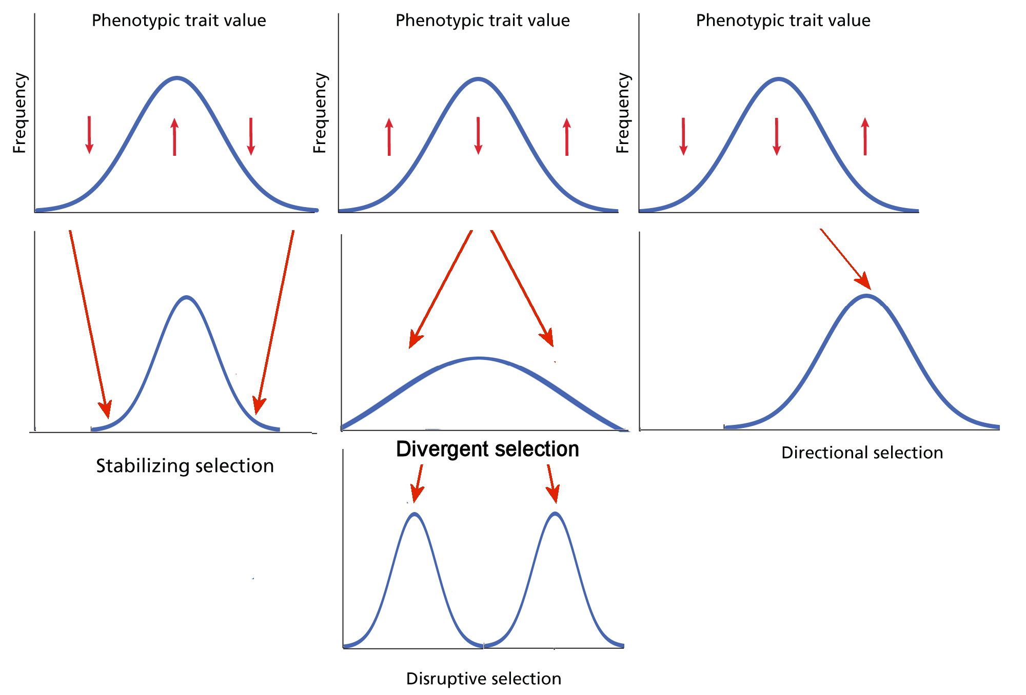 c04fig001smc2.jpg