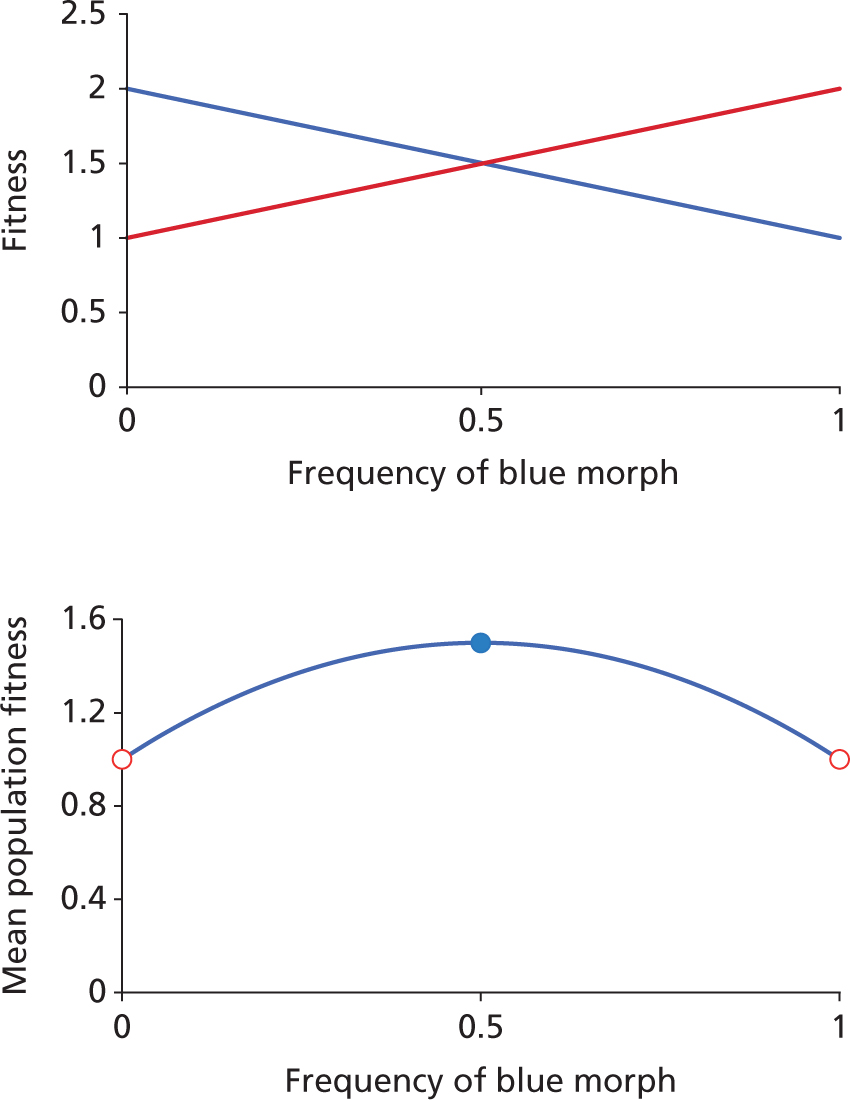 c04fig011.jpg