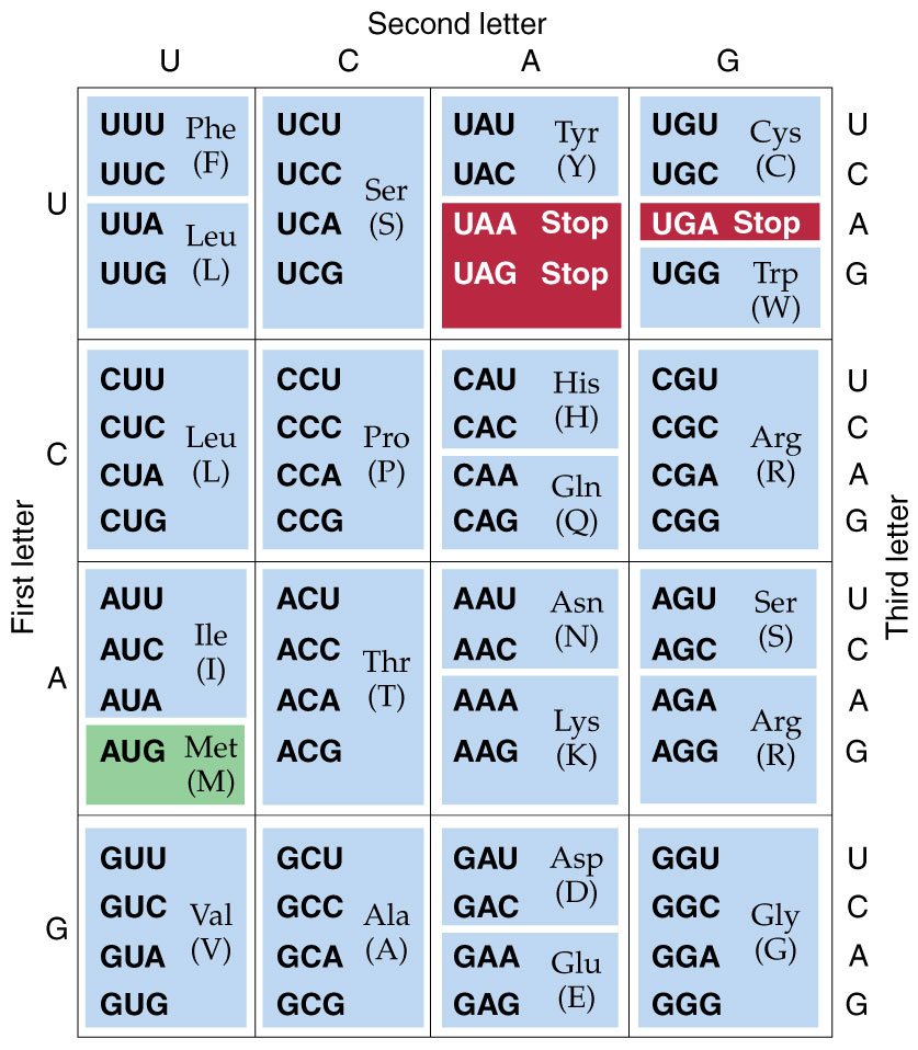 Three-Letter
            Code