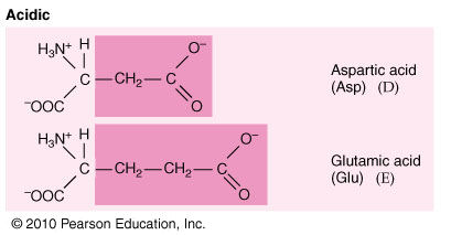 iGen 06-02 acidic