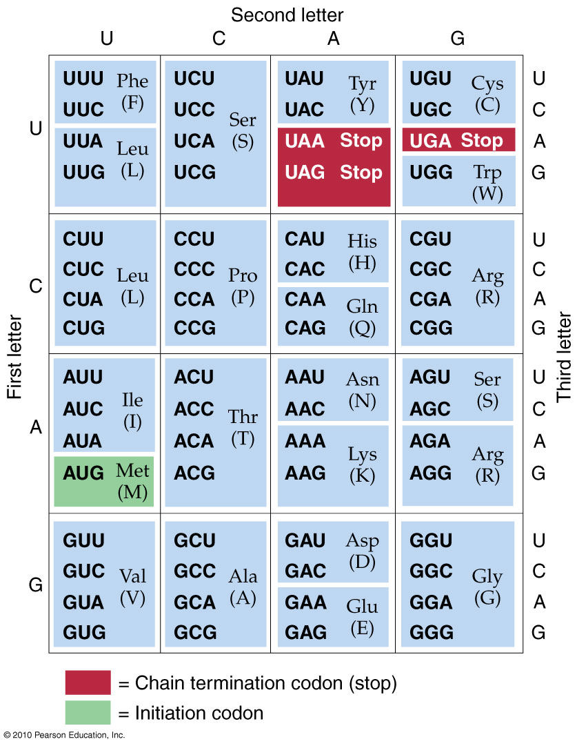 Dna Chart Tableau