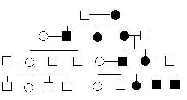 mtDNA-linked