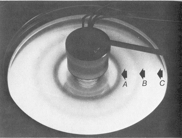 zonal rotor 3