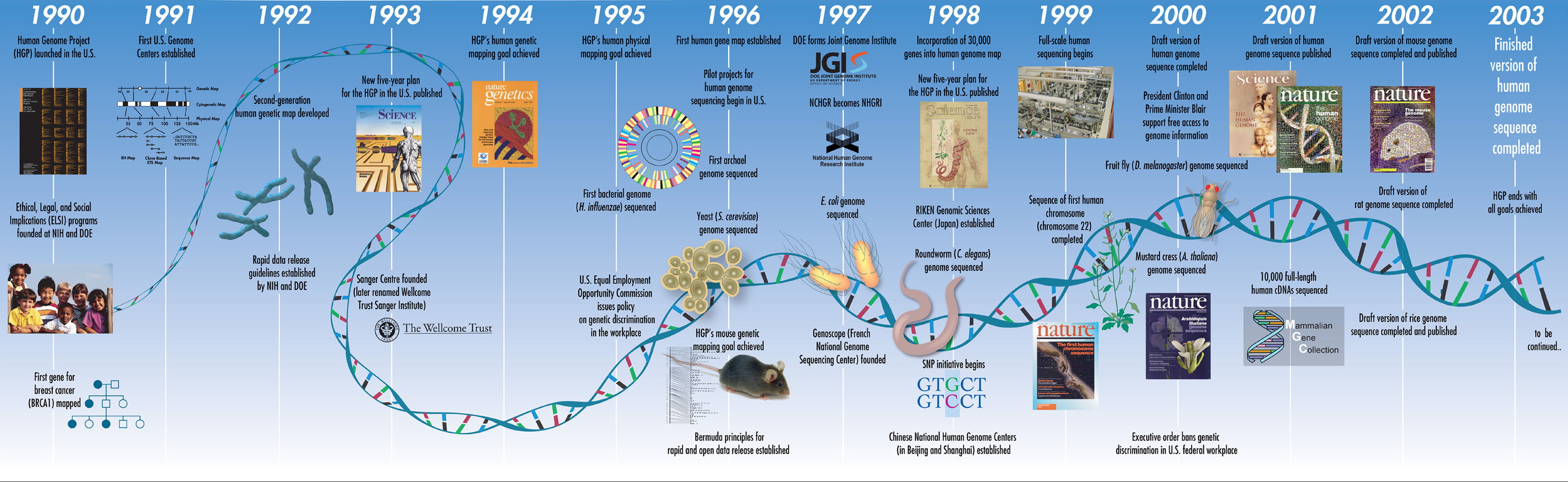 the journey of dna