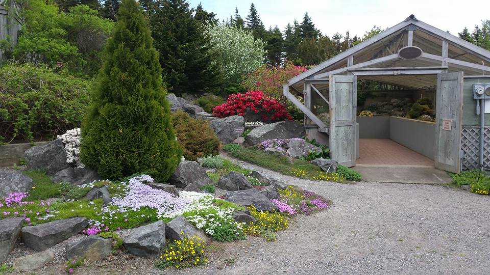 garden scene by Alpine house