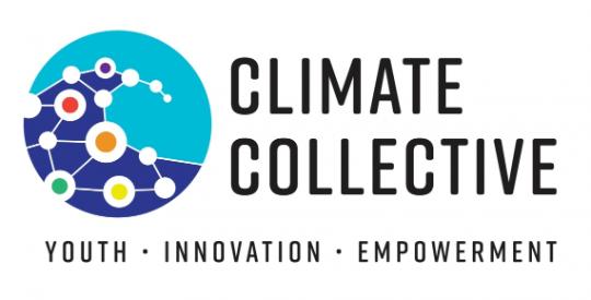 Climate Collective's Logo: A wave with a network with 5 coloured points from STEAM