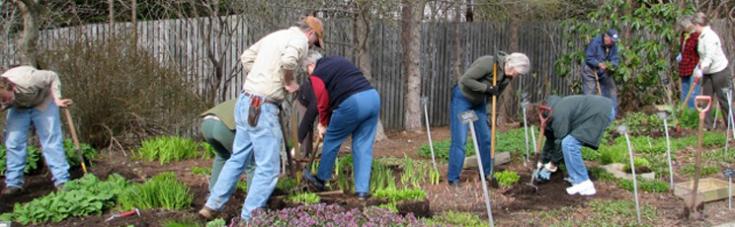 Friend's of the garden working in the garden