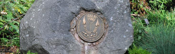 mun garden logo in rock