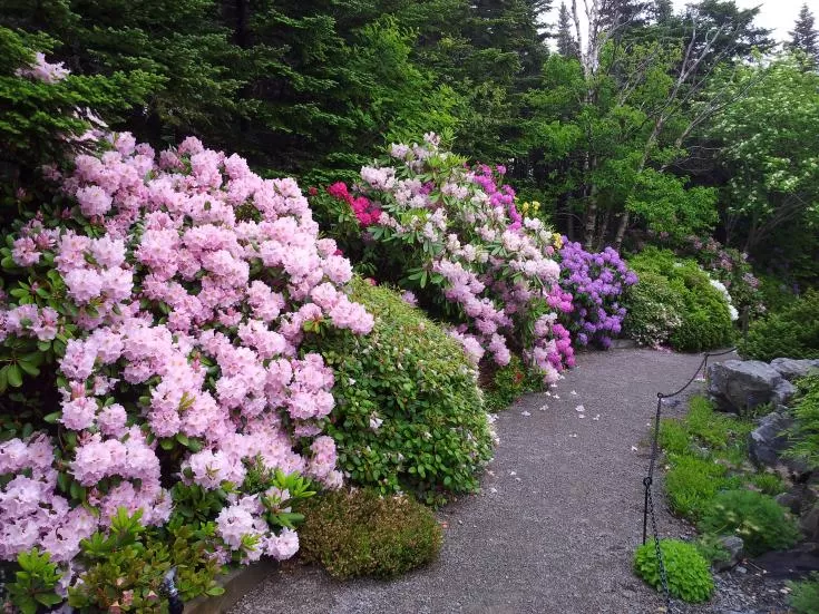 Memorial University Botanical Garden