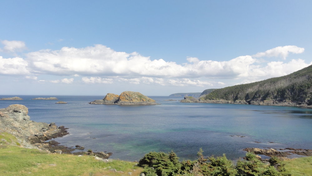 Landscape around St. John's, Canada