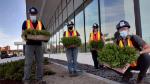 Botanical Garden staff planting autumn joy sedums at the new Core Science Facility