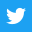 Twitter Social Icon