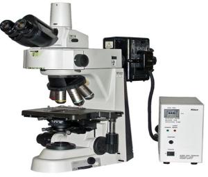 Optical Microscope