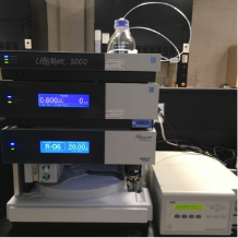 HPLC system