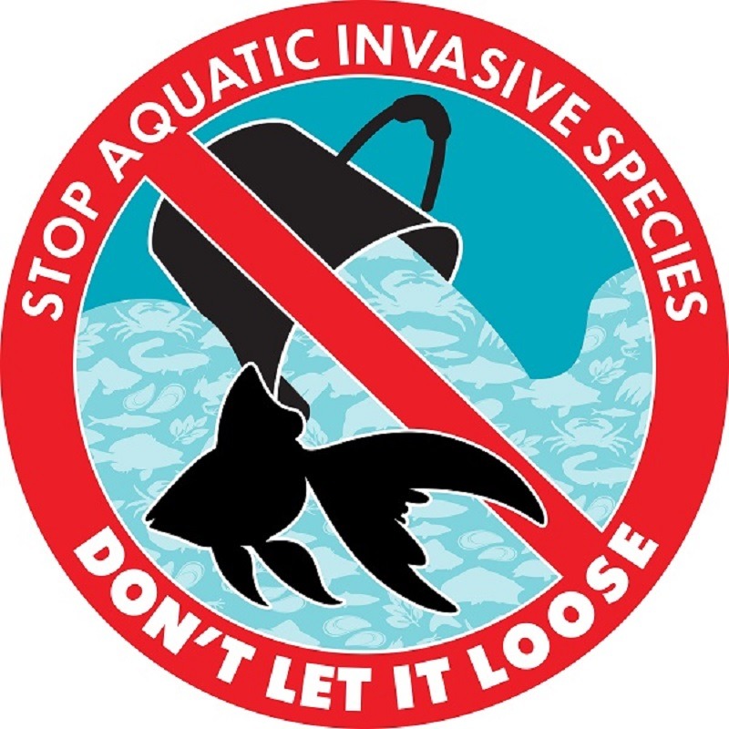 Don't let it loose, aquatic invasion campaign image