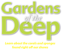 Gardens of the Deep Word Art