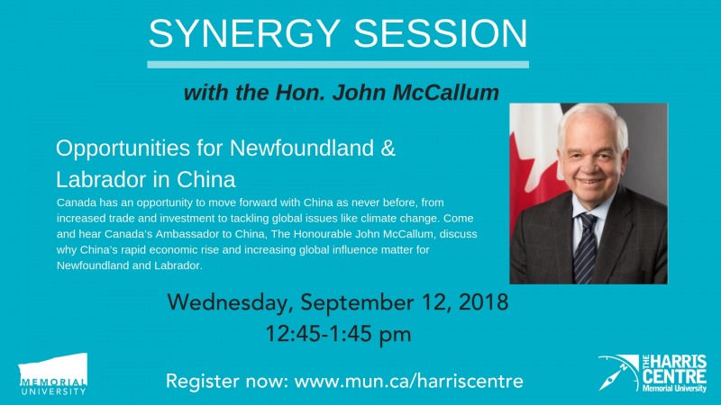 John McCallum Synergy Session